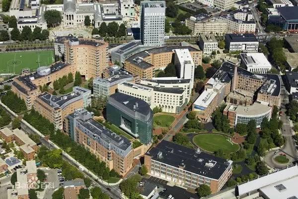 大学排名涨速