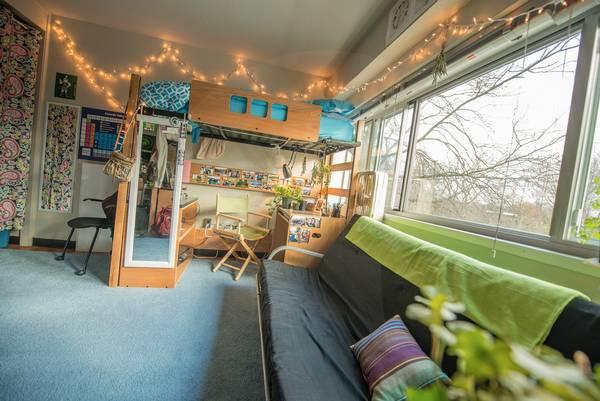 【纽约视觉艺术学院】在外租房还是在学校里面