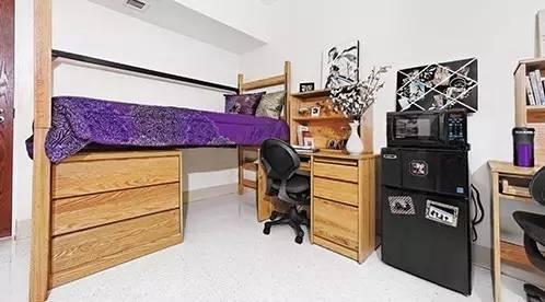 【纽约视觉艺术学院】在外租房还是在学校里面