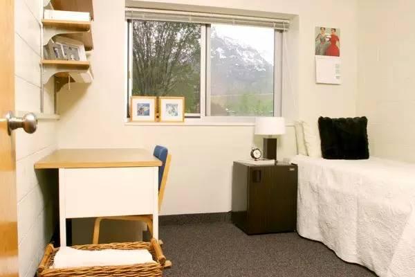 【纽约视觉艺术学院】在外租房还是在学校里面