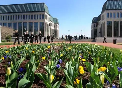 美国文理学院排名