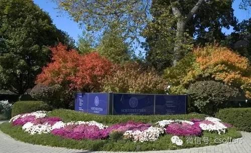 美国人工智能大学排名