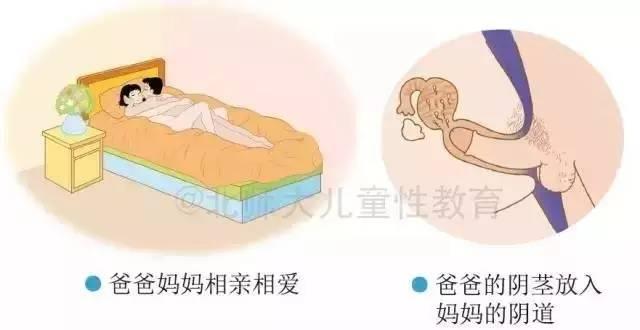 北师大出版社的儿童性教育